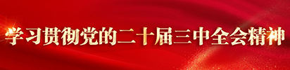 学习贯彻党的二十届三中全会精神